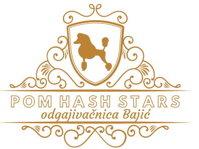 Pom Hash Stars, odgajivačnica Bajić